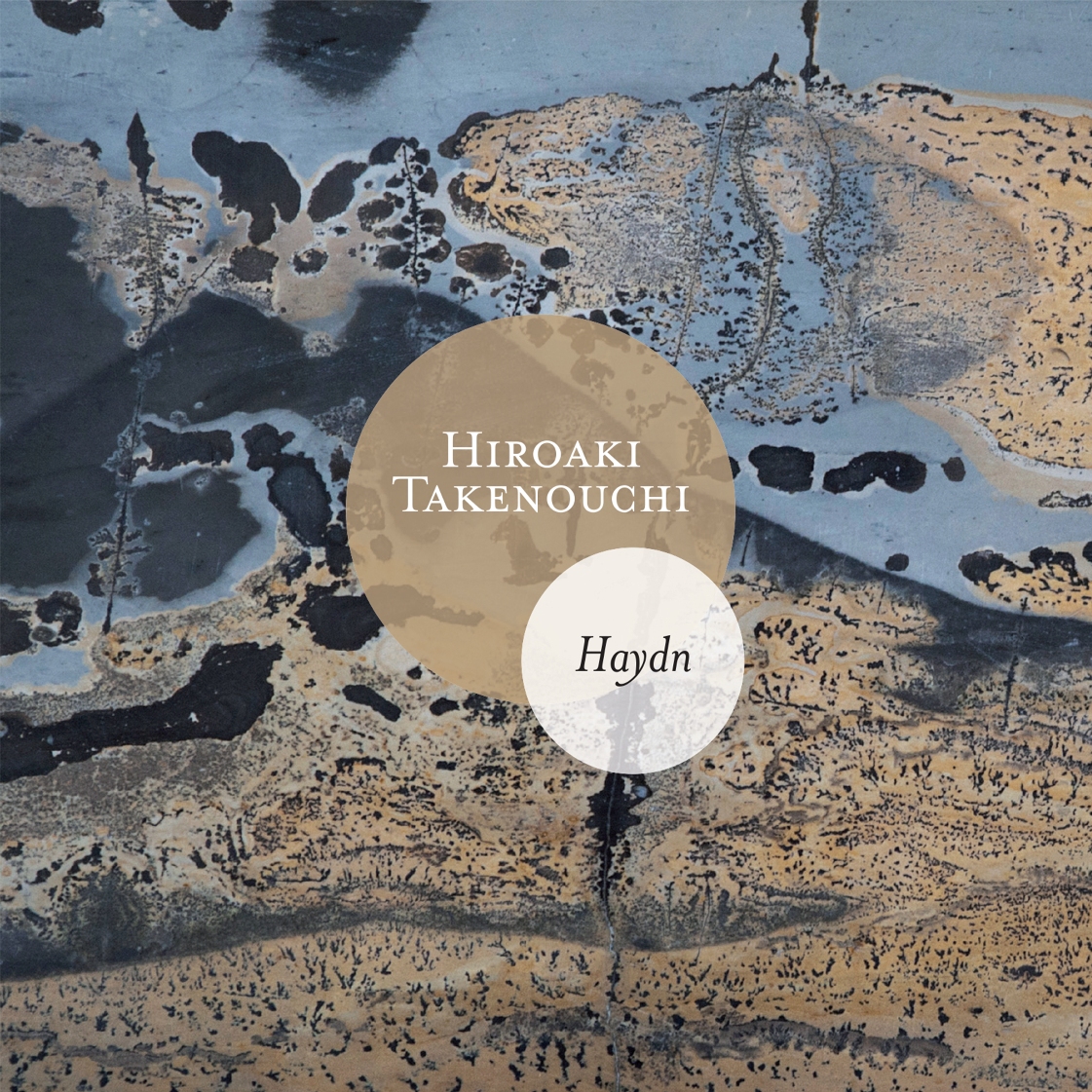 cover_haydn_takneouchi