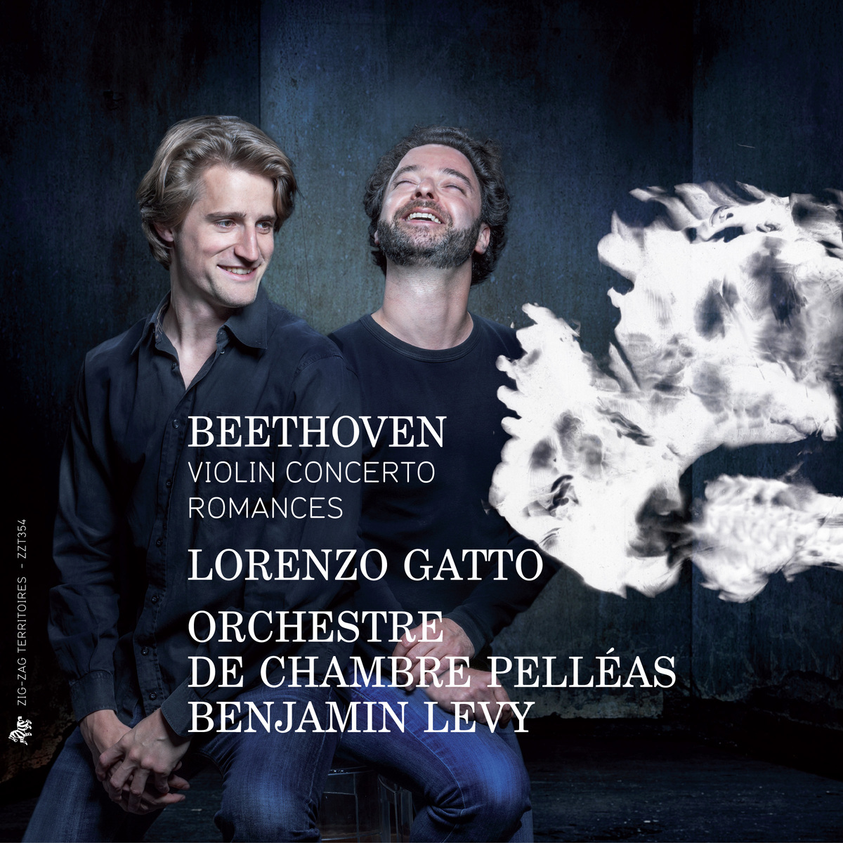 cover gatto beethoven zzt